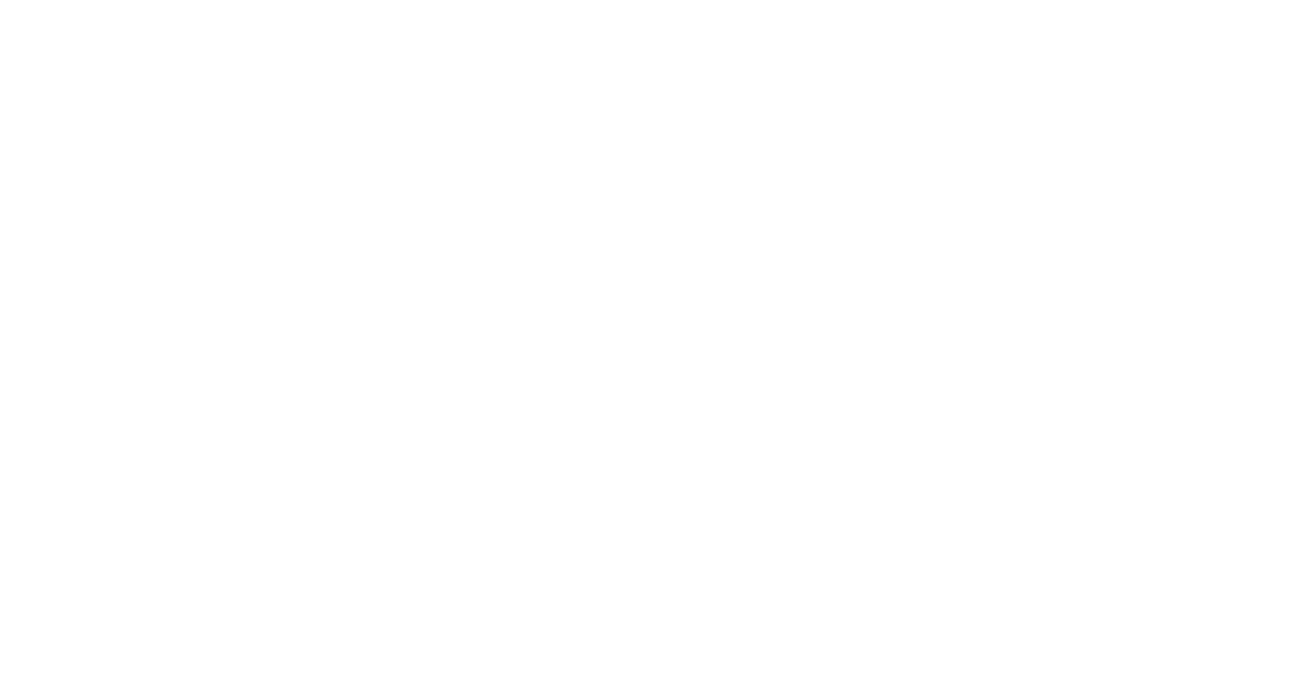 logo new 2 (білий)